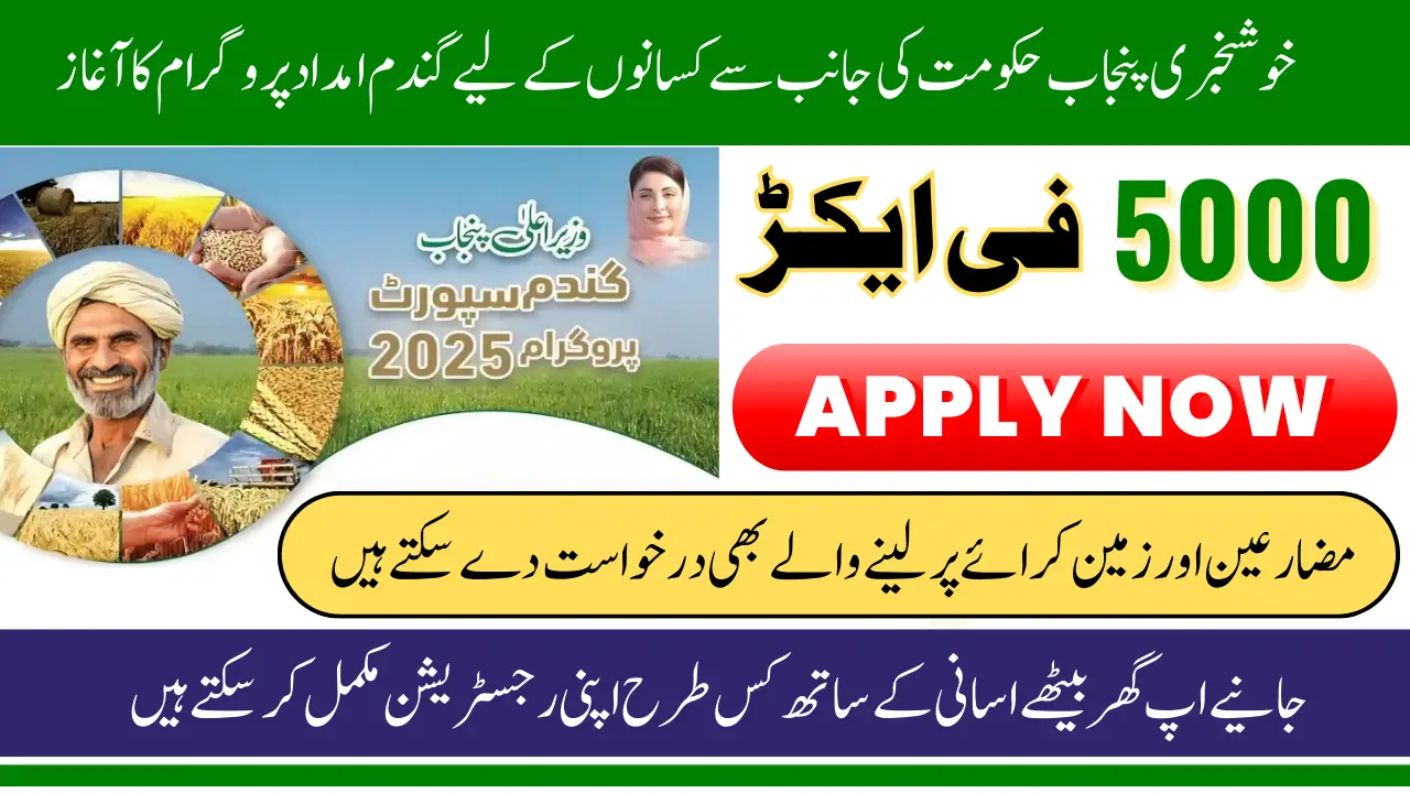 CM Punjab wheat support program Online Registration Via WSP 2025 Punjab Gov PK Know Detail