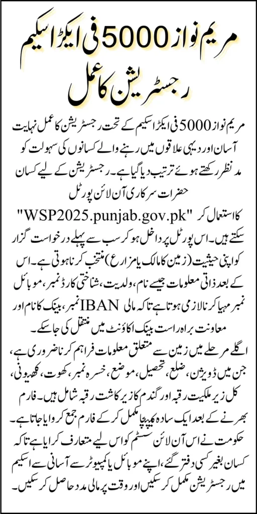 Maryam Nawaz Wheat Support 5000/Acre For Non-Profitable Farmers Know Full Registration Guide
