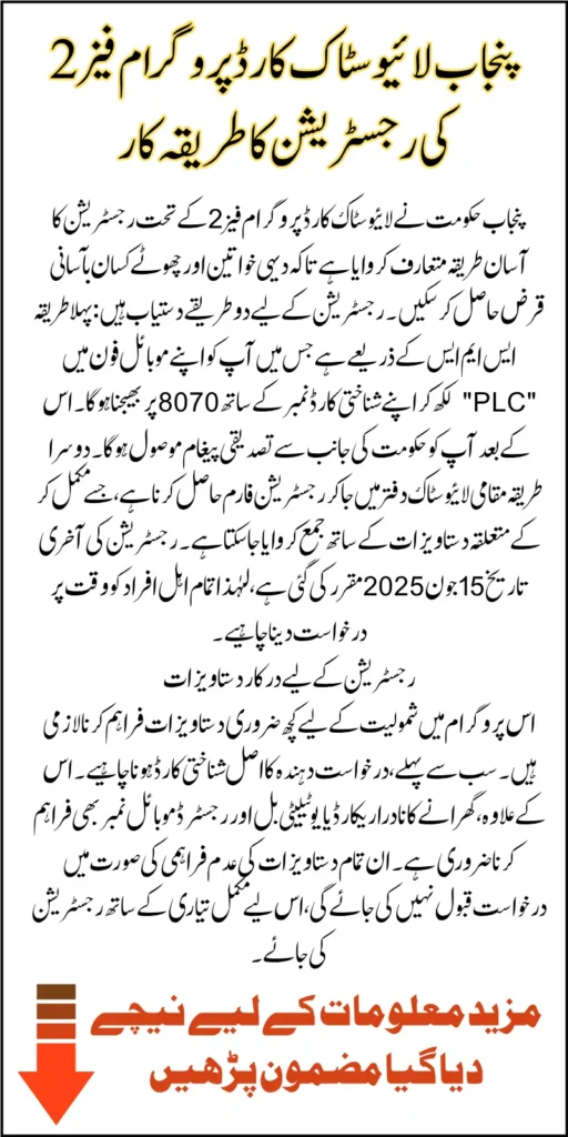 Punjab Livestock Card Program Phase 2 To Distribute Interest-Free Loan To Deserving Farmers Know Complete Details