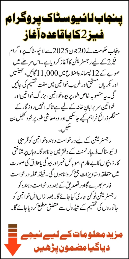 Punjab Livestock Program Phase 2 2025 For Poor Widows And Old Women-Led Families Know Full Detail