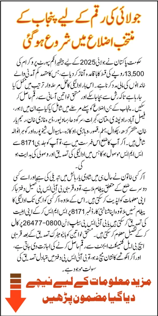 Punjab Districts BISP July 2025 Payments Know Complete Detail Of Selected Areas And CNIC Check 13500