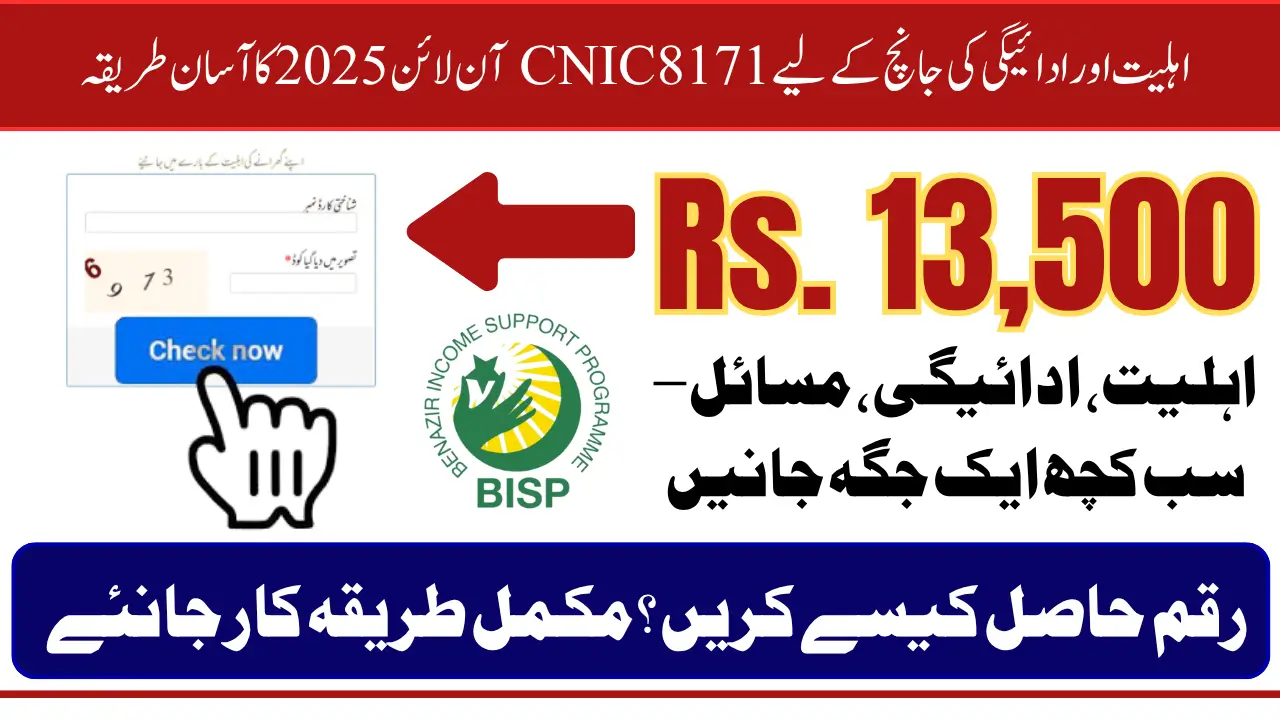 8171 CNIC Online Check 2025 to Verify BISP Eligibility and Payment Status Instantly