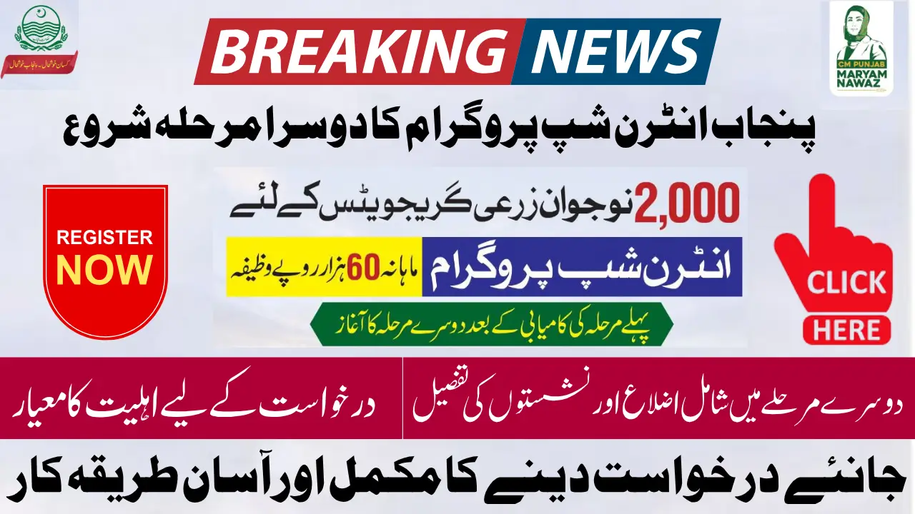 Punjab Internship Program Phase 2 Launched – 60,000 Monthly Stipend For 2,000 Graduates Know Full Detail
