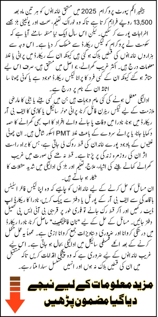 BISP Payment Block Tax Record 2025 Check Why Payments Are Blocked And How to Fix Step-by-Step Guide