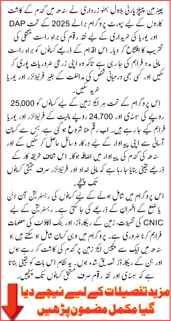 Sindh Wheat Growers Support Program 2025 – Payments Begin Through Benazir Hari Card Full Details Inside